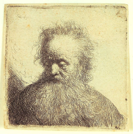 Head of an Old Man with a Flowing Beard