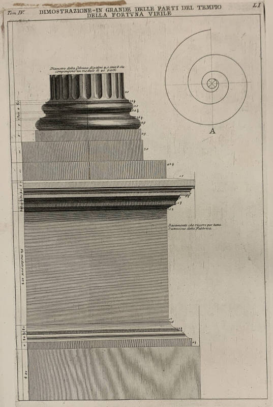 This image is for study only, and may not accurately represent the object’s true color or scale…