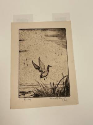 Rising – Works – Blanton Museum of Art