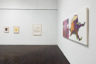 Installation view of Recent Acquisitions in Contemporary Art, Blanton Museum of Art, The Univer…
