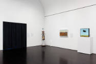 Installation view of "If the Sky Were Orange: Art in the Time of Climate Change," Blanton Museu…