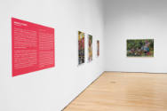 Installation view of "Native America: In Translation", Blanton Museum of Art, The University of…