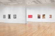 Installation view of "Native America: In Translation", Blanton Museum of Art, The University of…