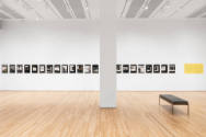 Installation view of "Native America: In Translation", Blanton Museum of Art, The University of…