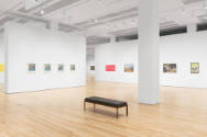 Installation view of "Native America: In Translation", Blanton Museum of Art, The University of…