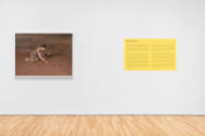 Installation view of "Native America: In Translation", Blanton Museum of Art, The University of…