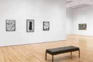 Installation view of "Native America: In Translation", Blanton Museum of Art, The University of…