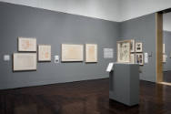 Installation view of "Meet Melecio Galván: The Secret Artist & His Mexican Contemporaries", Bla…