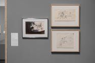 Installation view of "Meet Melecio Galván: The Secret Artist & His Mexican Contemporaries", Bla…