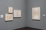 Installation view of "Meet Melecio Galván: The Secret Artist & His Mexican Contemporaries", Bla…