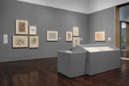 Installation view of "Meet Melecio Galván: The Secret Artist & His Mexican Contemporaries", Bla…