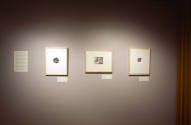 Installation view of "500 Years of Prints and Drawings: Part II," Blanton Museum of Art, The Un…