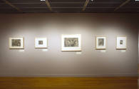 Installation view of "500 Years of Prints and Drawings: Part II," Blanton Museum of Art, The Un…