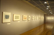 Installation view of "500 Years of Prints and Drawings: Part II," Blanton Museum of Art, The Un…