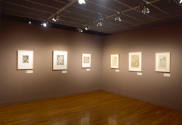 Installation view of "500 Years of Prints and Drawings: Part II," Blanton Museum of Art, The Un…