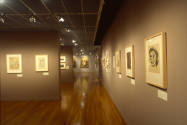 Installation view of "500 Years of Prints and Drawings: Part II," Blanton Museum of Art, The Un…