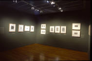 Installation view of "Prints of Ornament from the Northern Renaissance," from the series "500 Y…