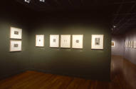 Installation view of "Prints of Ornament from the Northern Renaissance," from the series "500 Y…