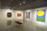 Installation view of "Painting Explosion: 1958-1963," at the Blanton Museum of Art, January 24,…