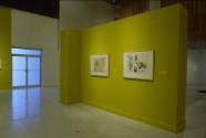 Installation view of "Lo Feo De Este Mundo: Images of the Grotesque," at the Blanton Museum of …