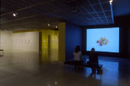 Installation view of "Lo Feo De Este Mundo: Images of the Grotesque," at the Blanton Museum of …