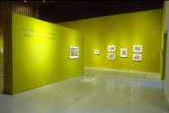 Installation view of "Lo Feo De Este Mundo: Images of the Grotesque," at the Blanton Museum of …