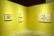 Installation view of "Lo Feo De Este Mundo: Images of the Grotesque," at the Blanton Museum of …