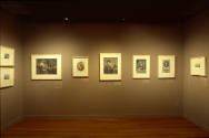 Installation view of "Prints from the Leo Steinberg Collection, Part II," at the Blanton Museum…