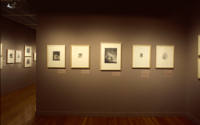 Installation view of "Prints from the Leo Steinberg Collection, Part II," at the Blanton Museum…