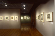 Installation view of "Prints from the Leo Steinberg Collection, Part II," at the Blanton Museum…