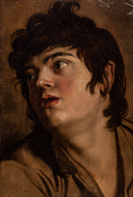 Head of a Young Man