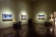 Installation view of "WorkSpace 10: Marcelo Pombo," at the Blanton Museum of Art, October 4, 20…