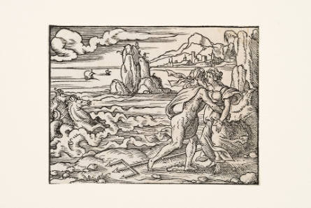 Illustration for Ovid's Metamorphoses