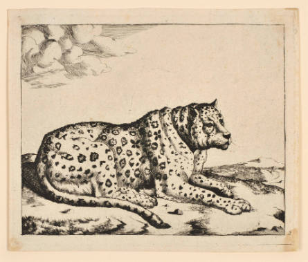 Leopards, plate 2, after Paulus Potter