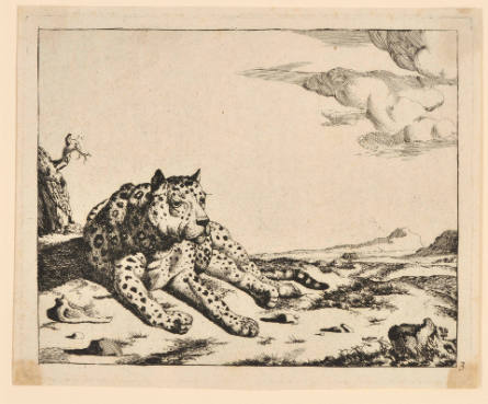 Leopards, plate 3, after Paulus Potter