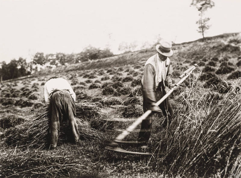 Faucheurs, Somme [Reapers, Somme], from Twenty Photographs by Eugene Aget 1856-1927