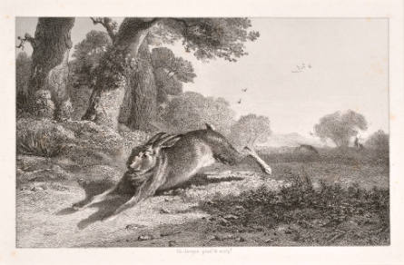 Le Lievre [The Hare]