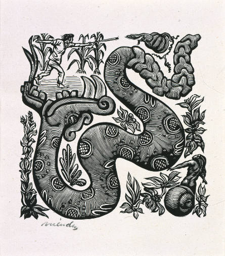 Serpiente [Serpent], no. 1 from Méndez: 25 Prints