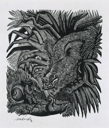 El amigo Jabalí [The Friendly Wild Boar], no. 2 from Méndez: 25 Prints