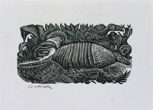 Armadillo, no. 3 from Méndez: 25 Prints