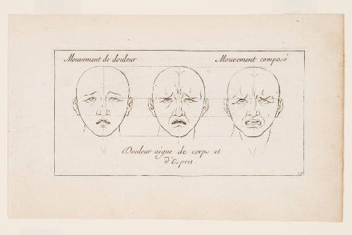 Plate 19 from Caractères des Passions, after Charles Le Brun