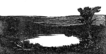 The Pond, from Thomas Hardy The Return to Native