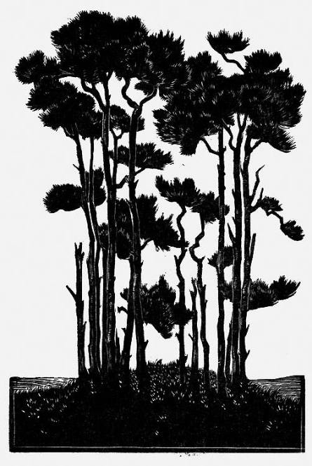 Grove of Trees, from Thomas Hardy The Return to Native