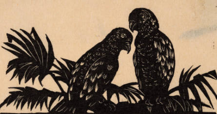 Parrots, from H.M. Tomlinson The Sea and the Jungle