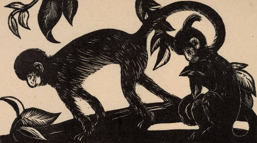 Monkeys, from H.M. Tomlinson The Sea and the Jungle