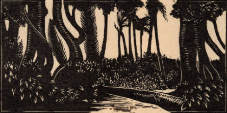 Fallen Tree, from H.M. Tomlinson The Sea and the Jungle