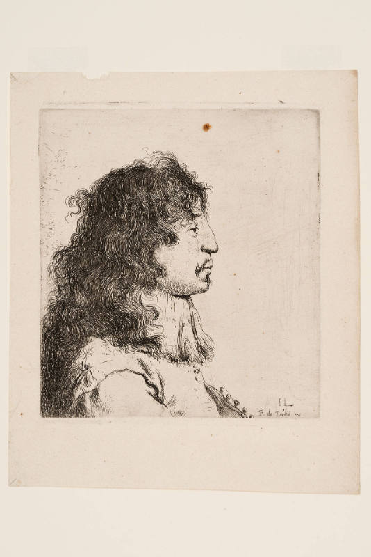 Bust of a Young Man in Profile, Facing Right