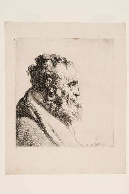 Bust of an Old Bearded Man, Facing Right